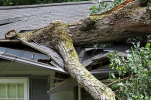 Four Reasons to Rely on an Experienced Roofing Company When Submitting Roof Insurance Claims