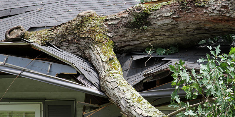 Four Reasons to Rely on an Experienced Roofing Company When Submitting Roof Insurance Claims