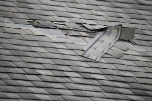 Three Signs to Schedule Roof Repair Services